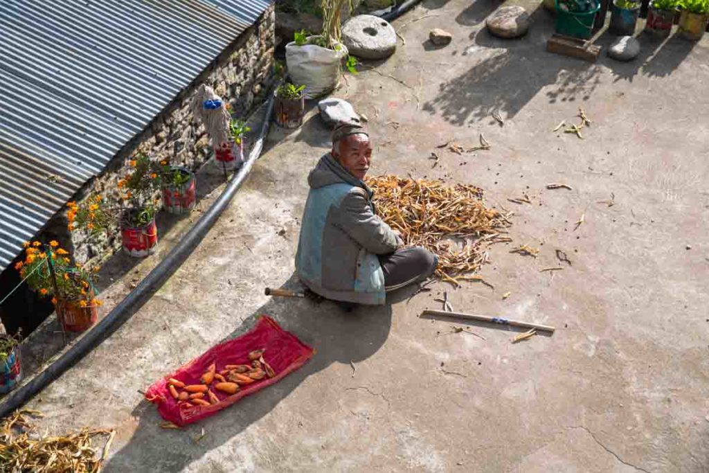 Man preparing harvest